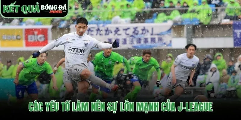 Nền tảng vững chắc làm nên sức mạnh VĐQG Nhật Bản