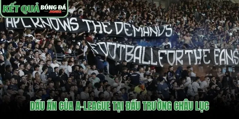 Dấu ấn VĐQG Australia với chức vô địch châu lục