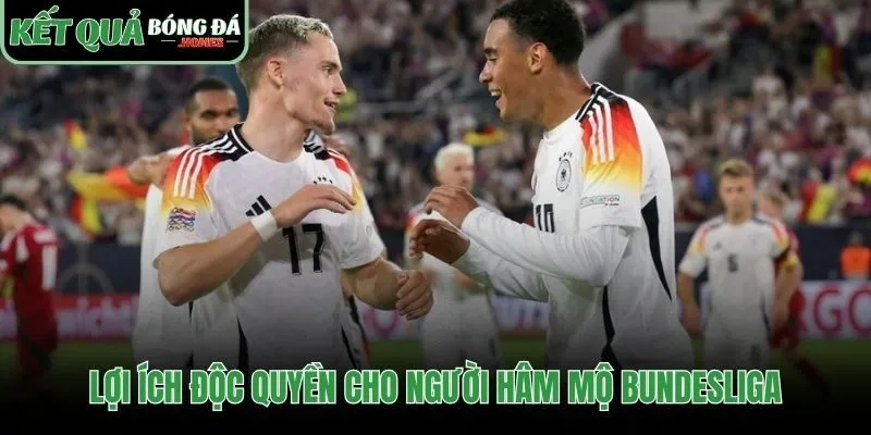 Cập nhật kết quả bóng đá Đức nhanh với giao diện tối giản