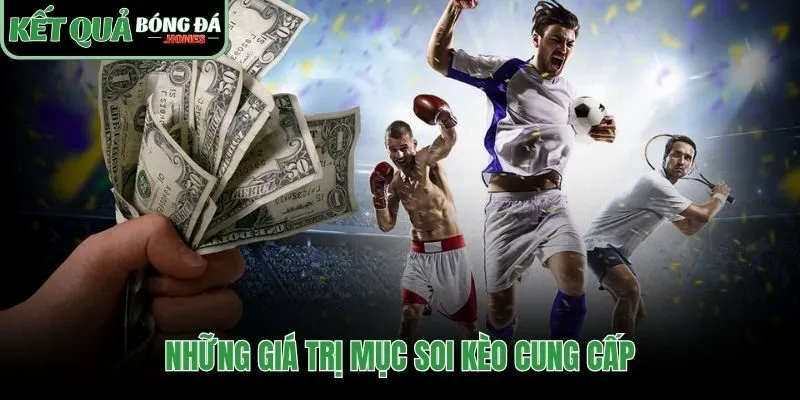 Những giá trị thực tiễn giúp người dùng có góc nhìn toàn diện