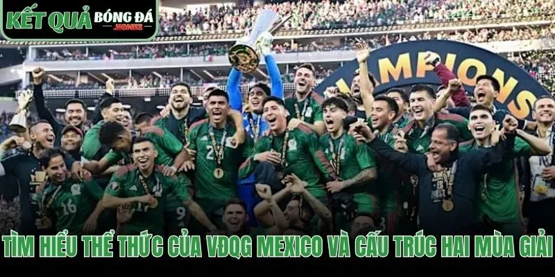 Cấu trúc hai mùa giải độc nhất của VĐQG Mexico