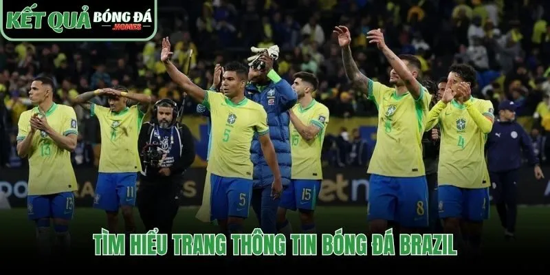 Cấu trúc dữ liệu khoa học cho kết quả bóng đá Brazil