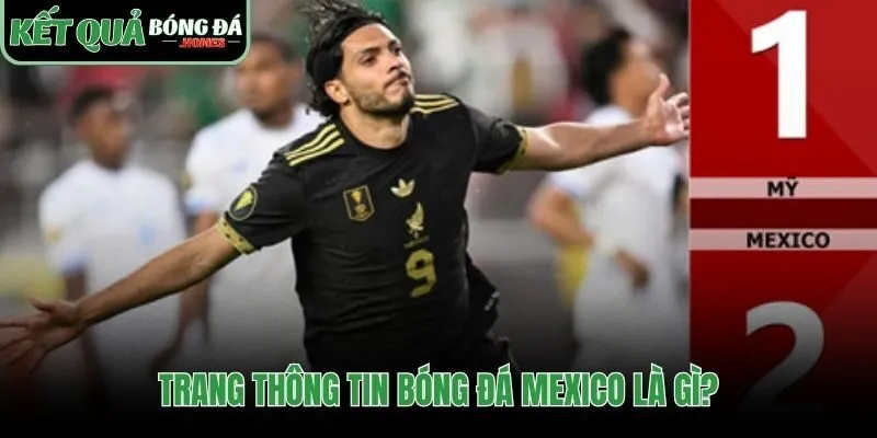 Kho dữ liệu tập trung giải quyết thông tin phân mảnh