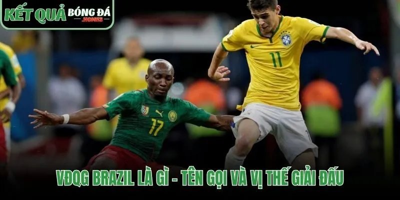 Tên gọi chính thức và vị thế vườn ươm tài năng thế giới