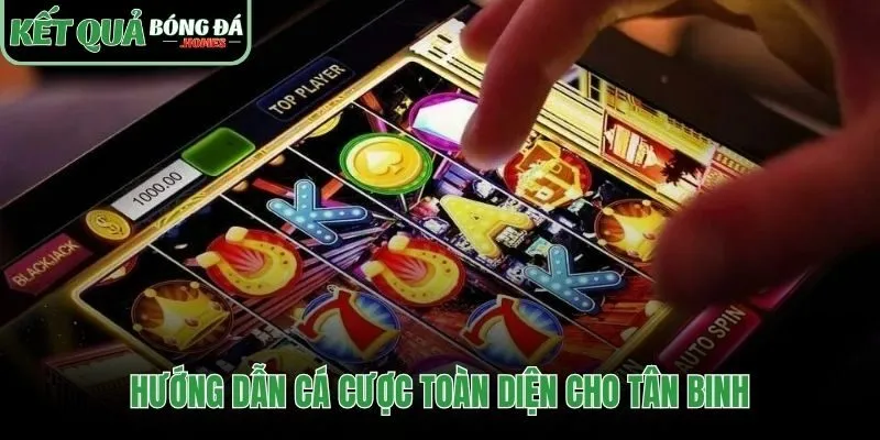 Trọn bộ hướng dẫn cho người mới tham gia 8Live