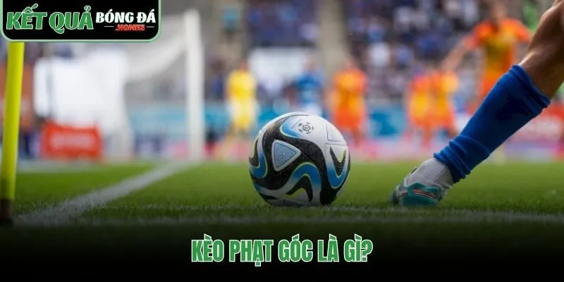 Dự đoán chỉ số phạt góc không phụ thuộc kết quả thắng thua