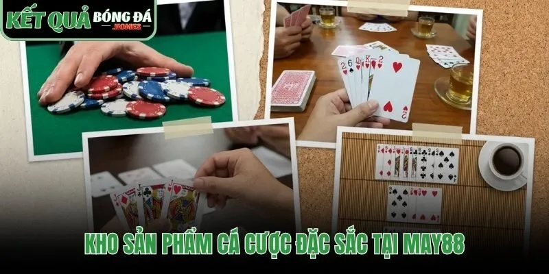 Tổng hợp các sảnh cược đa dạng từ thể thao tới casino