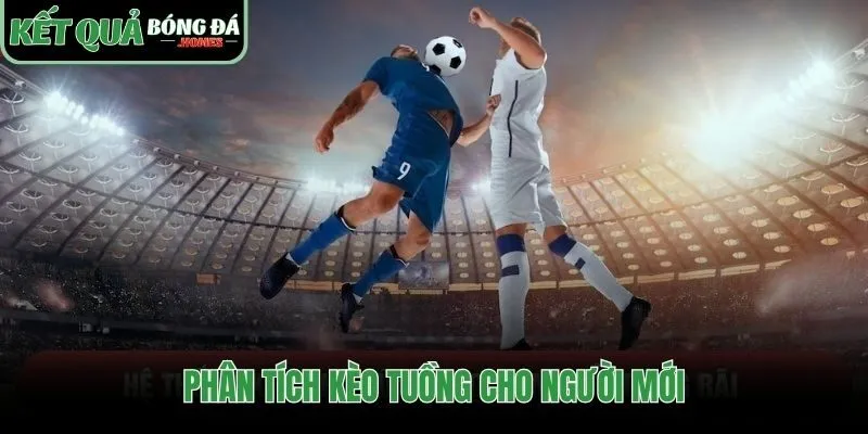 Quy trình phân tích khoa học giúp tránh các quyết định cảm tính