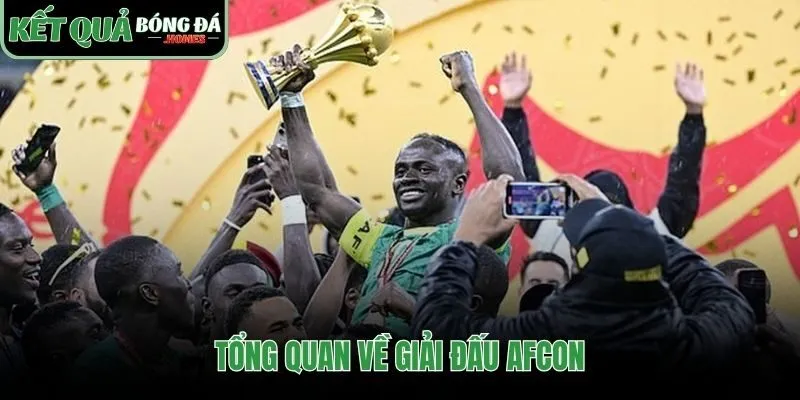 Tìm hiểu về giải đấu Afcon tại Kết Quả Bóng Đá
